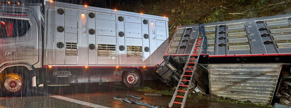 Vollsperrung bei Ransbach-Baumbach: Tiertransporter mit 40 Rindern verunglückt