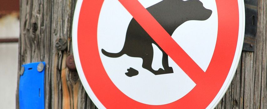 Hundekot auf Wegen und rund um Spielplätze – Rücksichtnahme ist gefragt!