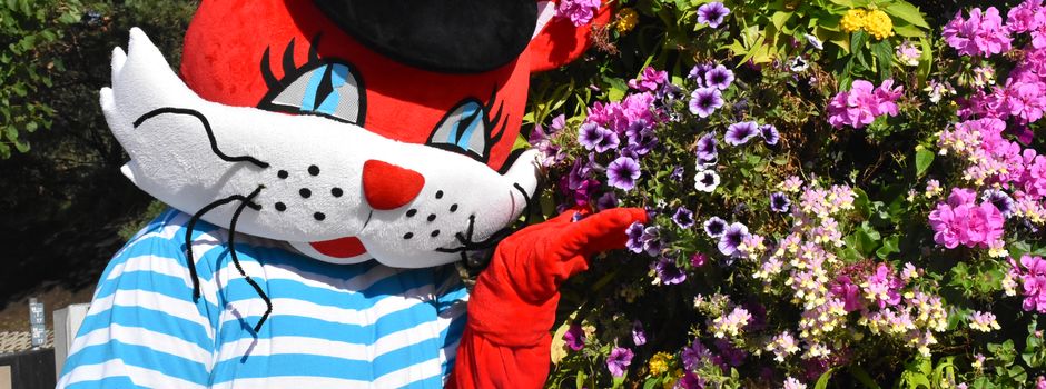 Aktionen für Jugendliche & Kinder