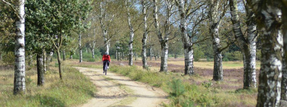 Radtour, Vortrag, Führung für Familien und Zeichenkurs