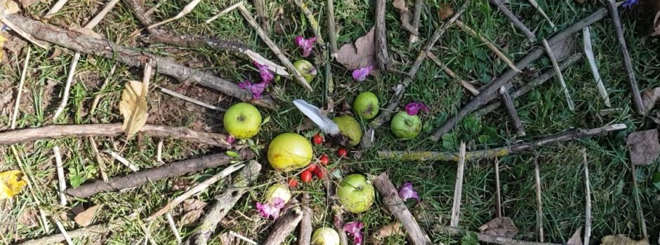 Naturspielgruppe Windel-Wichtel          hat wieder freie Plätze
