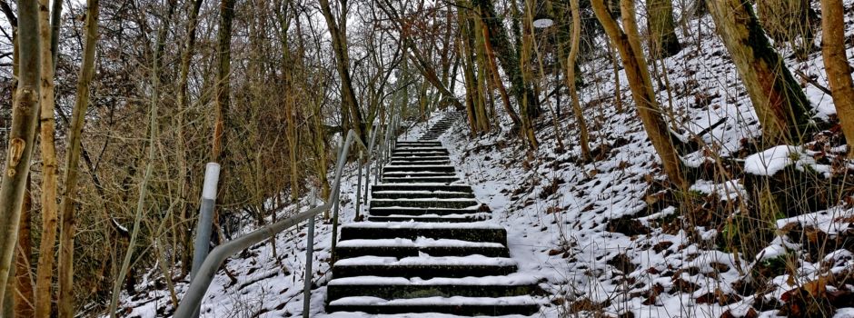 Rückkehr der „Russenpeitsche“: Es wird eisig in Mainz