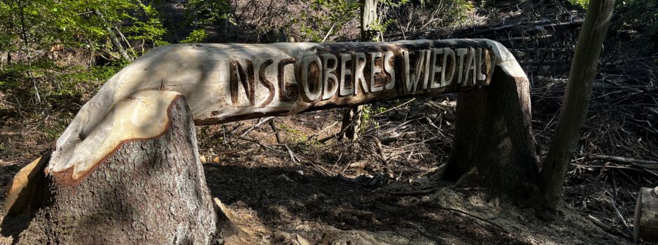 Waldlehrpfad im NSG Oberes Wiedtal