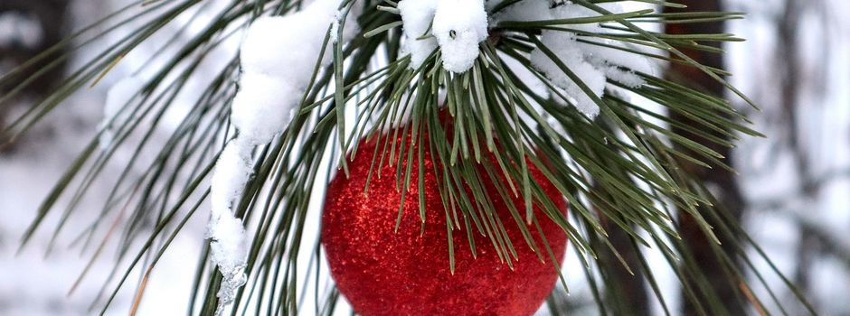 Waldweihnacht der Pfadfinder