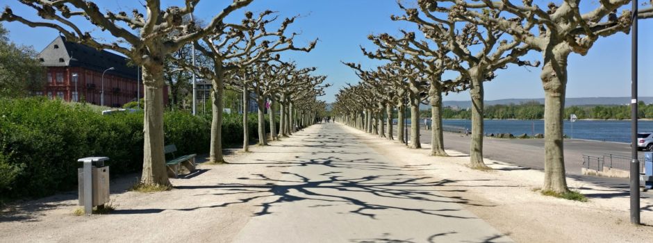 Klage gegen Maskenpflicht am Mainzer Rheinufer