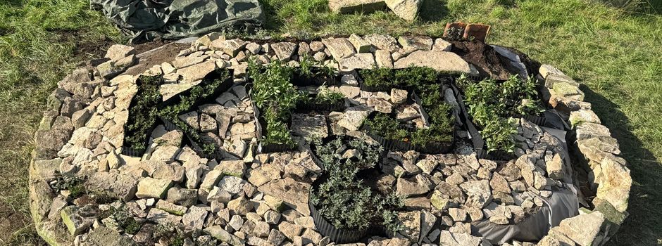 Kinderferienpassaktion 2025: Pflanzaktion auf der Streuobstwiese in Barnstorf