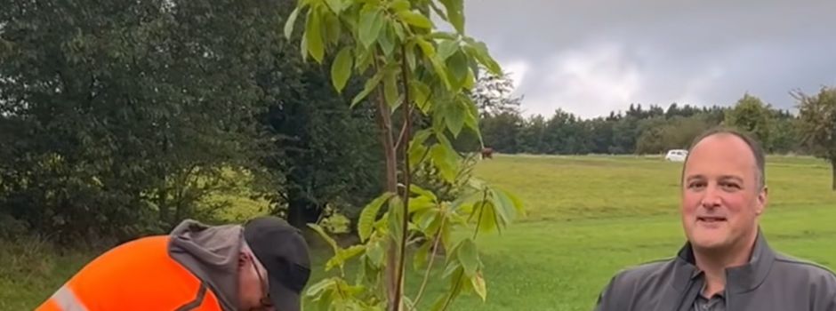 Doppelte Spende und Baum gepflanzt 