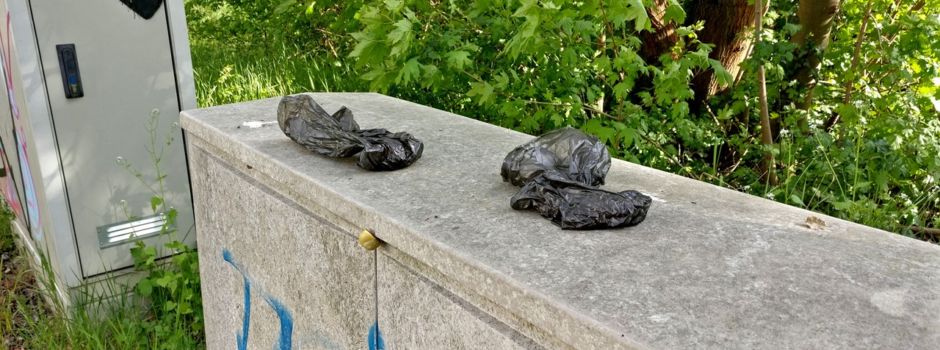 In dieser „Scheiß“-Statistik liegt Wiesbaden ganz vorne