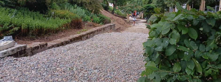 Sanierung der Hanns-Thierolf-Anlage in Worms hat begonnen