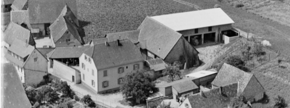 Wieder Eselstraßenfest