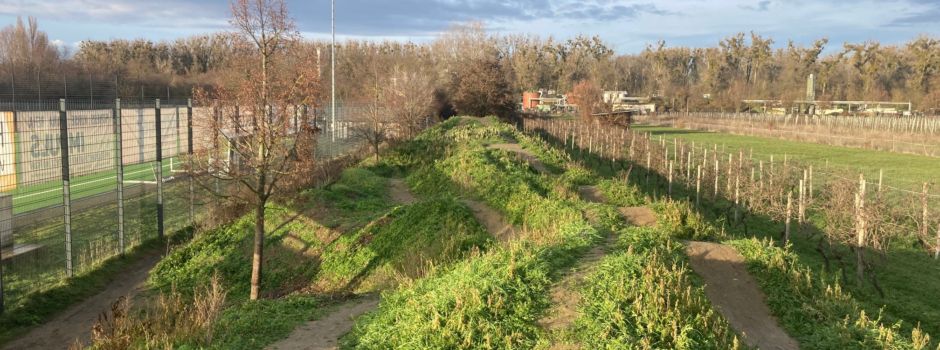 Neue Pumptrack-Bahn in Oppenheim wird eröffnet