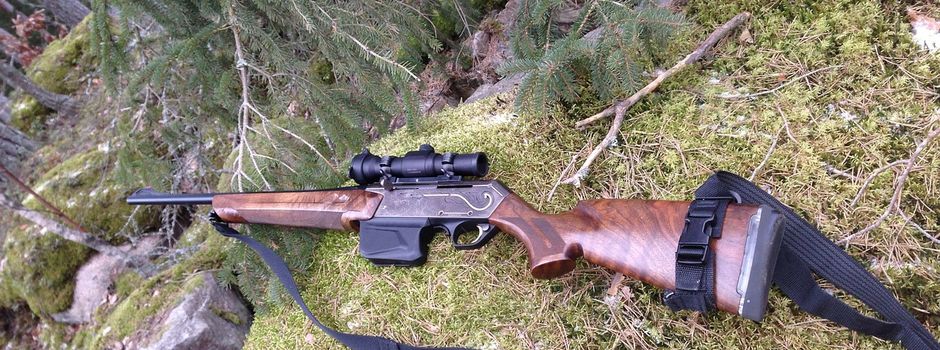 Jagd im Gehlerter Wald