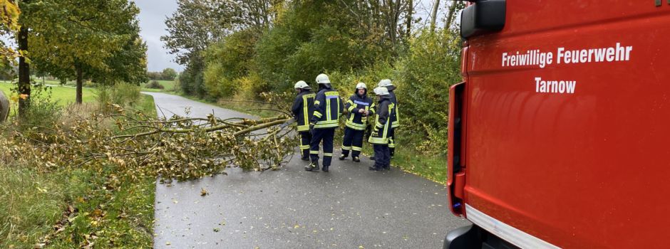Auch bei Sturm immer zur Stelle