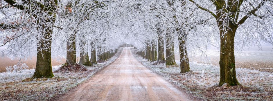 Dreiländerkicker Winterwanderung