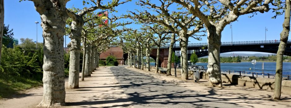 Wann werden die Draußen-Regeln aufgehoben?