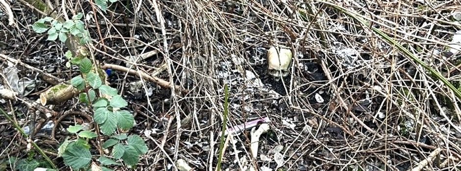 Mainzer Polizei ermittelt nach Knochenfund in Worms