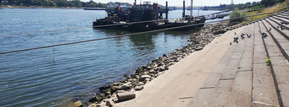 Mann stürzt in Rhein – mutiger Passant rettet ihn