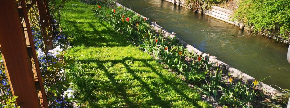 5 wunderschöne Spaziergänge in Augsburg im Frühjahr