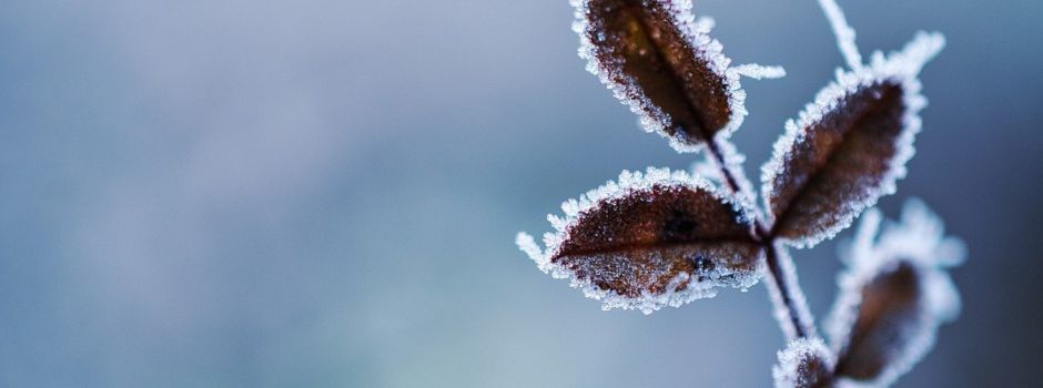 Minus-Temperaturen und Glatteis: Wetterwarnung für Koblenz und Region