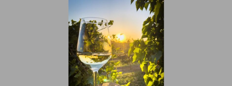 Hier gibt es in Rheinhessen Wein aus dem Automaten