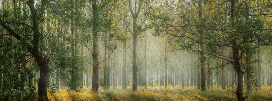 Genossenschaftsversammlung Jagdgenossenschaft Reudelsterz