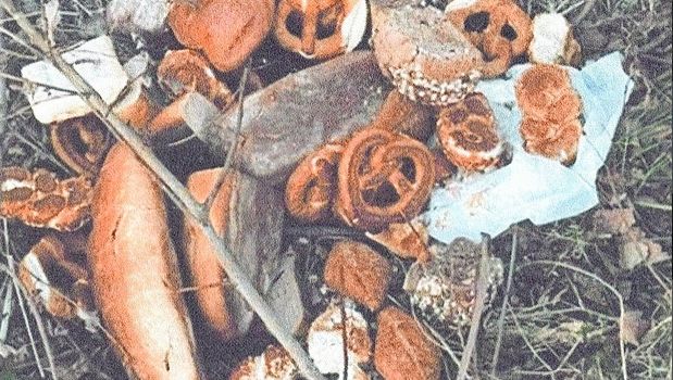 Wildtiere im Wald bitte nicht füttern!