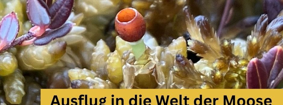 Buntes Programm im Naturschutzzentrum Wilhelmsdorf 