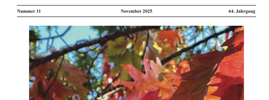 Ortsnachrichten Nov. 2025