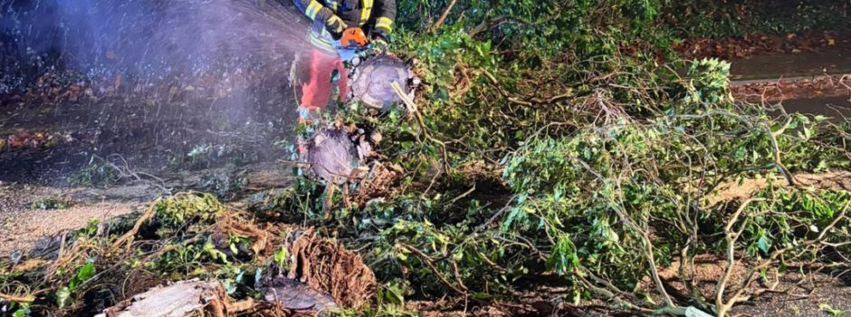 Wochenrückblick – KW 47