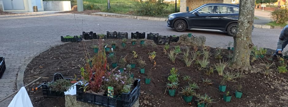 Anlage von Blühflächen im Umfeld der Feuerwehr und am Buswendeplatz in Eimersdorf