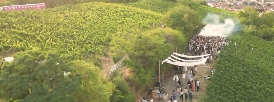 „Bass am Berg“: Großes Techno-Event in Niersteiner Weinberg