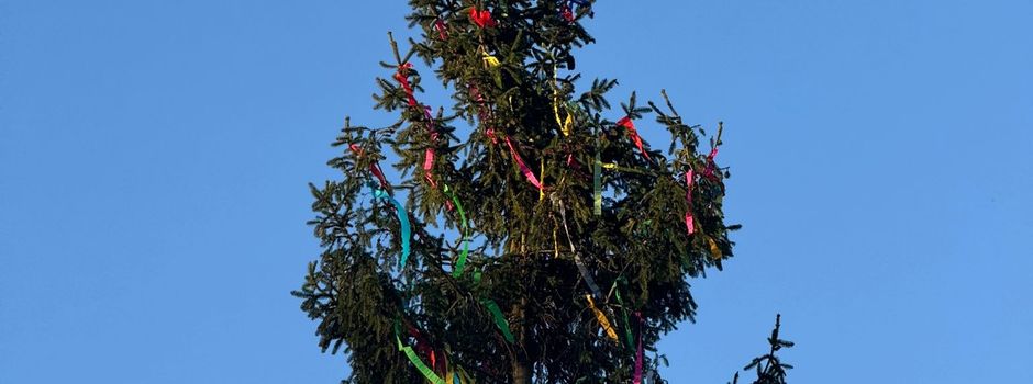 Das Maibaumstellen - Ein voller Erfolg 