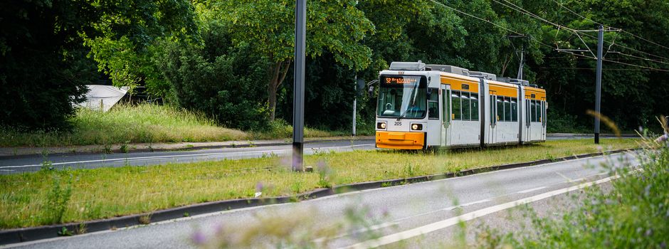 Straßenbahnfreunde Mainz sprechen sich für Streckenausbau aus