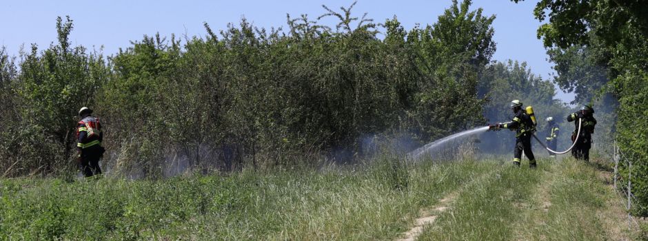 Sportflieger entdeckt Flächenbrand in Mainz-Finthen