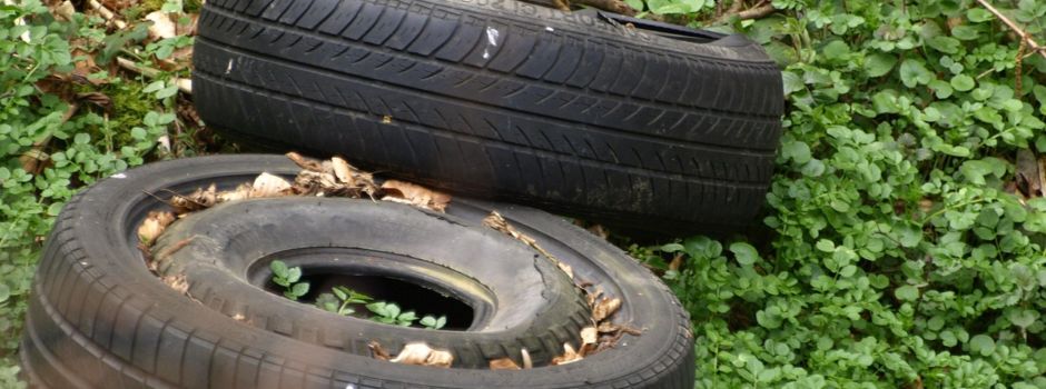 „Aktion Sauberes Dorf“: Schleswig-Holstein räumt auf – auch Weesby ist dabei