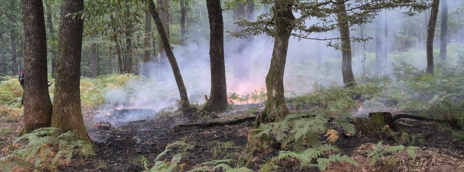 Ausbruch eines Feuers im Serriger Forst