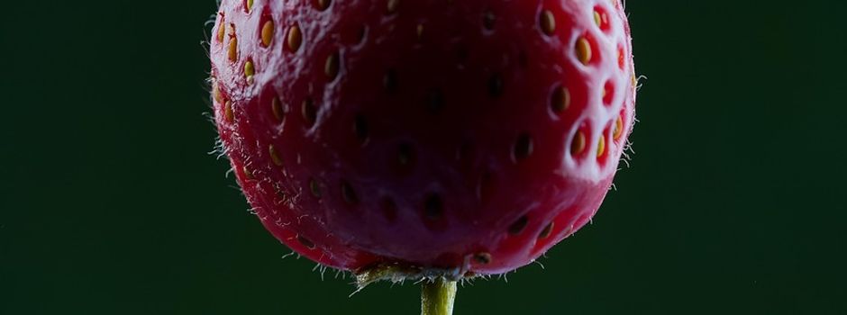 Transportnetzbetreiber terranets bw informiert: Nächtliche Schwerlasttransporte für den Bau der SEL