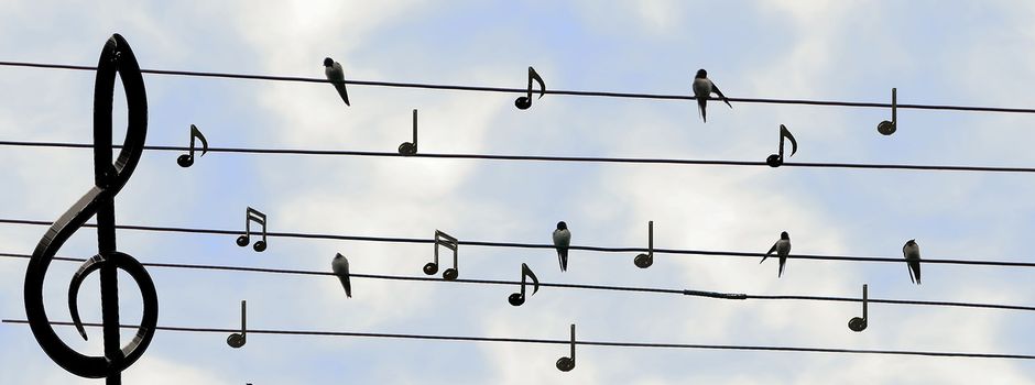 Einladung zum Open-Air Konzert in Fehl-Ritzhausen