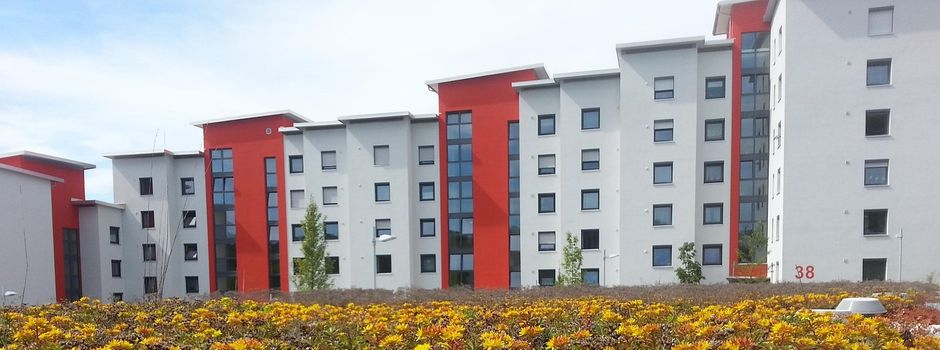 Gründächer: Noch bis Ende April 2026 Anträge auf Förderung einreichen