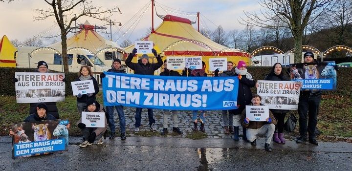 Wiesbadener Weihnachtscircus: Tierschützer kündigen Protestaktion an