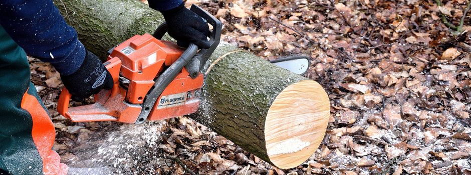 Rodungsarbeiten im Kobertal am 28.03.2024