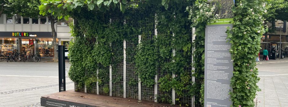 Mainz stellt „Mobile Grüne Zimmer“ in Innenstadt auf