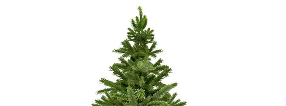 Erinnrung: Feuerwehr sammelt Weihnachtsbäume