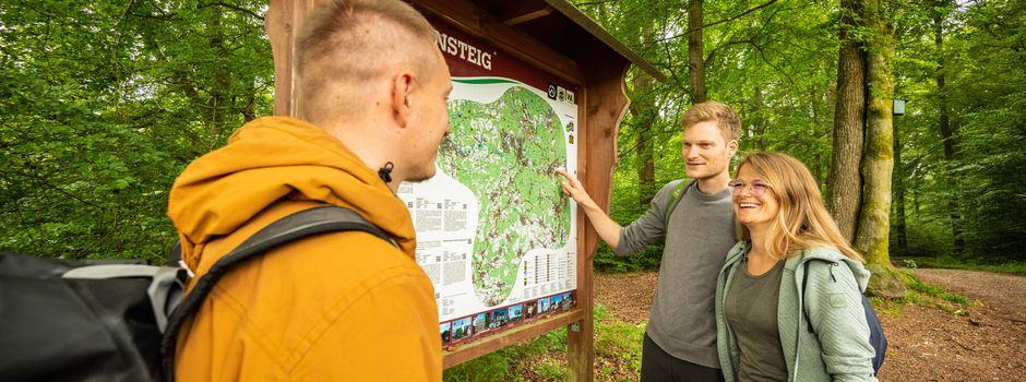 Druidensteig Wandertag 2026: Deutschlands schönsten Wanderweg gemeinsam erleben