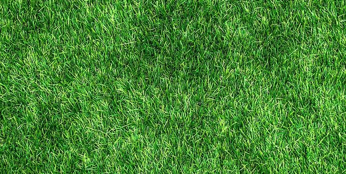 Öffnung Astplatz in 2024