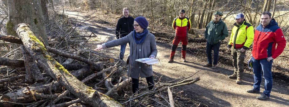 Besucherlenkungsmaßnahmen am Hofmannsweiher