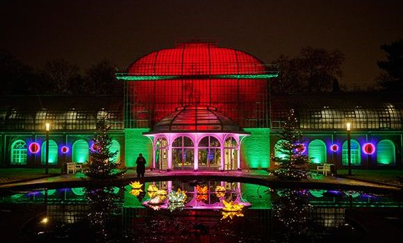 Außergewöhnliche Adventsspots nahe Mainz: Tipps für Ausflugsziele