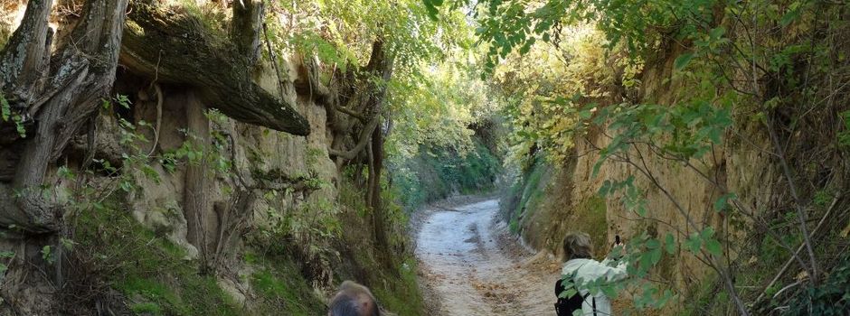 Walking auf der neuen Hiwweltour "Alsheimer Hohlwege"