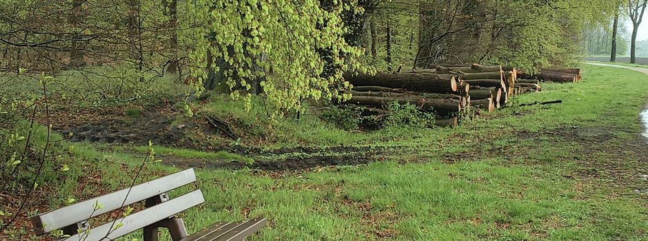 Die schönste Frühlingszeit zwischen Ende April / Anfang Mai