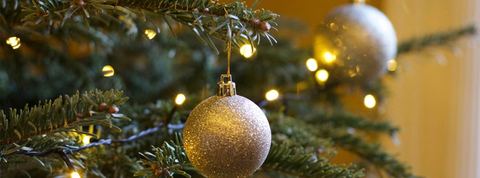 Weihnachtsbaumsuche mit Glühwein: „Tannenglück“ startet in Friesenheim